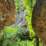 1000097867